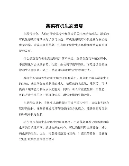 蔬菜有机生态栽培