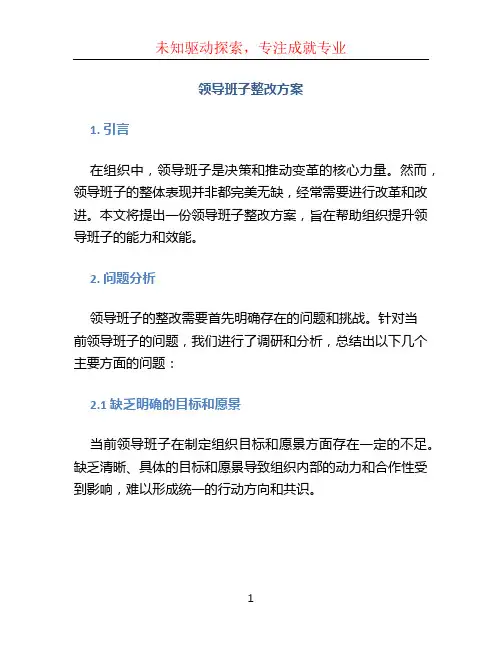 领导班子整改方案