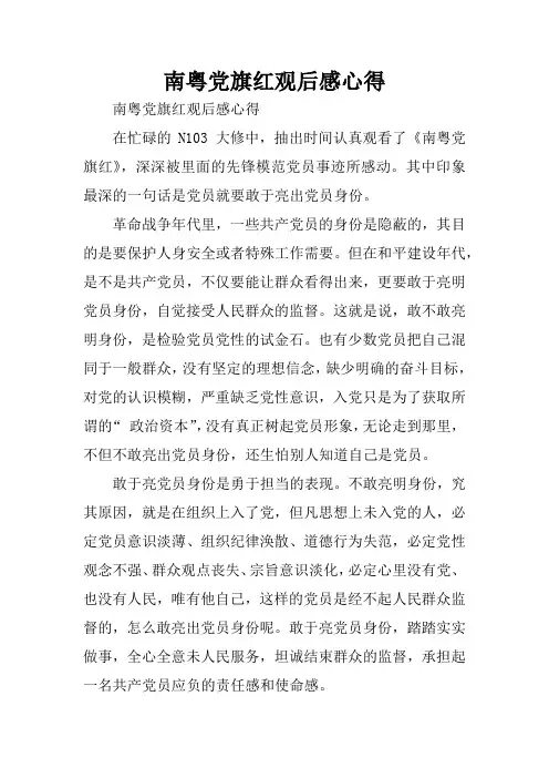 南粤党旗红观后感心得