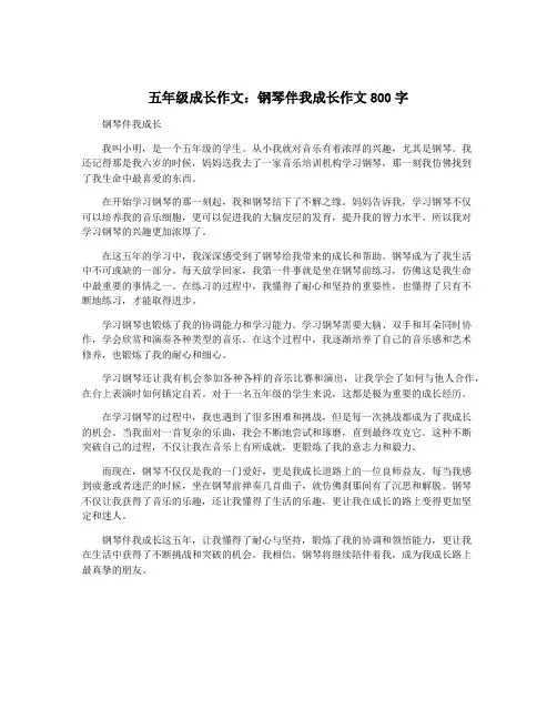 五年级成长作文：钢琴伴我成长作文800字 2
