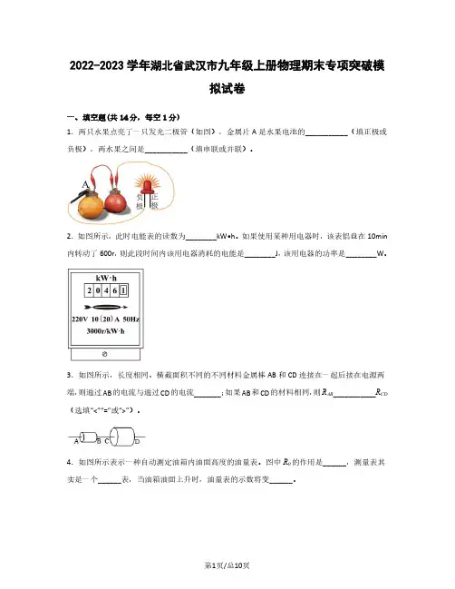 2022-2023学年湖北省武汉市九年级上册物理期末专项突破模拟试卷(含答案)