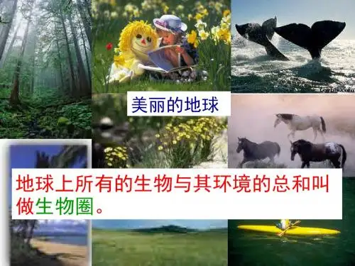 生物对环境的适应和影响
