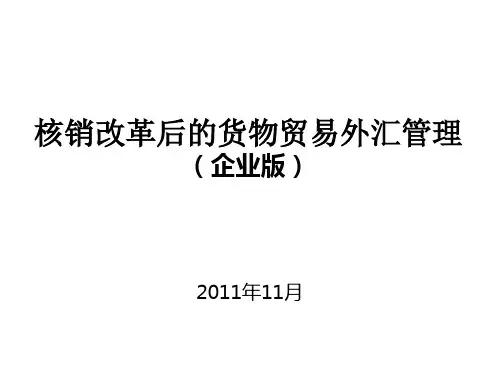 核销改革后的货物贸易外汇管理(企业版)