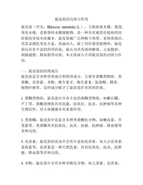 旋花茄的功效与作用