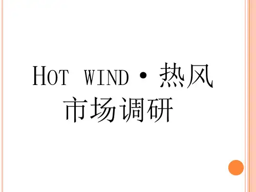 热风市场调研