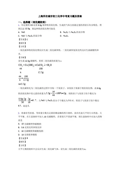 上海所在城市初三化学中考复习题及答案