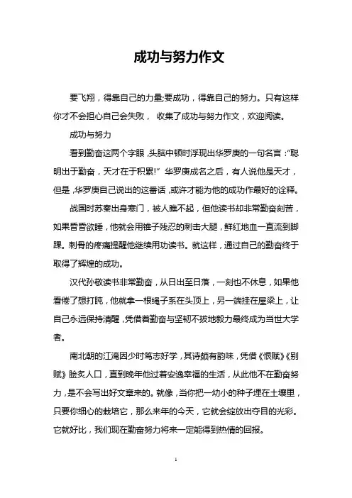 成功与努力作文