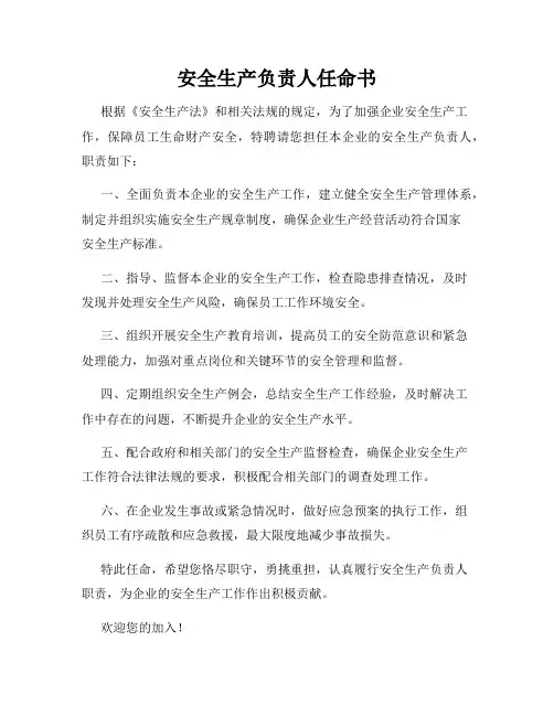 安全生产负责人任命书