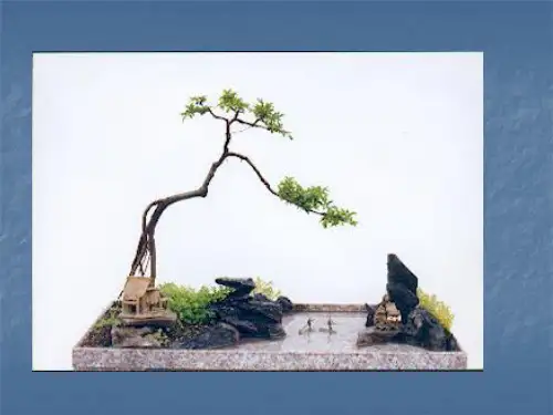 盆景制作ppt