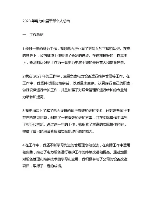 2023年电力中层干部个人总结