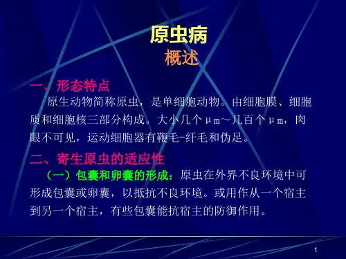 原虫病PPT演示课件
