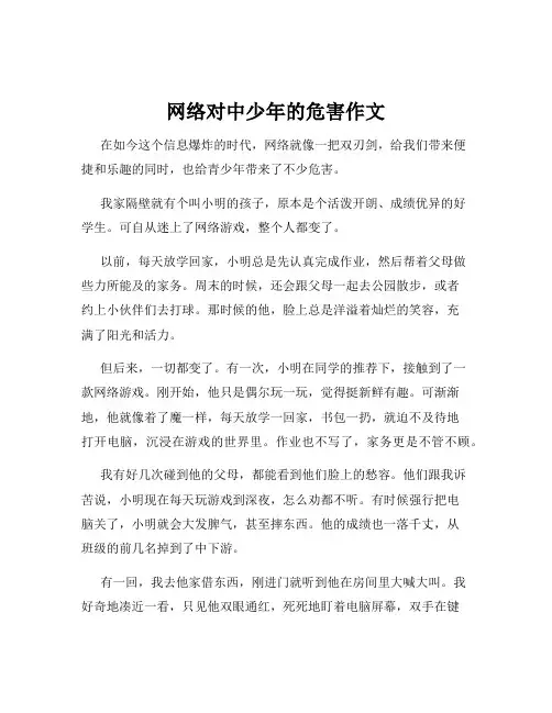 网络对中少年的危害作文