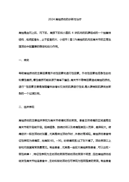 2024肩袖损伤的诊断与治疗