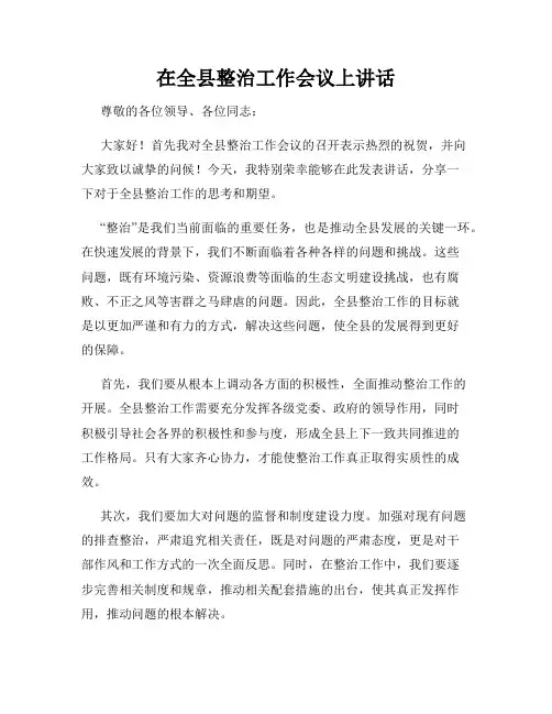 在全县整治工作会议上讲话