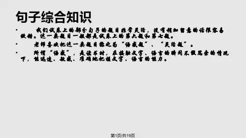 小学语文句子专项训练PPT课件