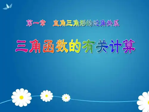 《三角函数的有关计算》直角三角形的边角关系PPT课件教学课件