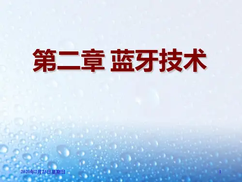 蓝牙技术PPT课件