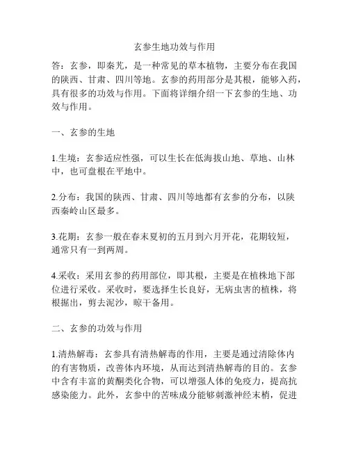 玄参生地功效与作用