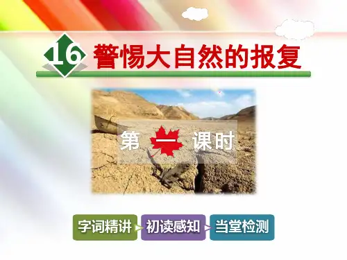 教科版四年级语文上册《16.警惕大自然的报复【第1课时】》课件