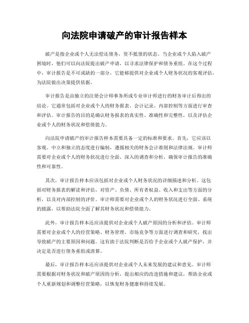 向法院申请破产的审计报告样本