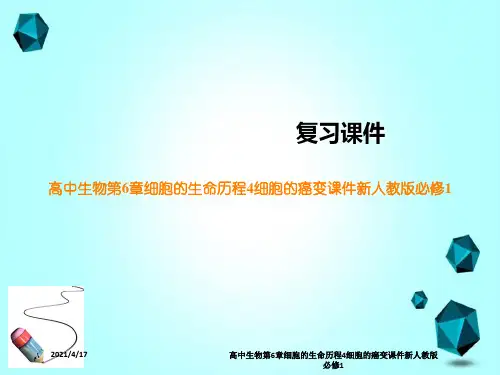 高中生物第6章细胞的生命历程4细胞的癌变课件新人教版必修1
