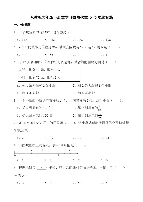 人教版六年级下册数学《数与代数 》专项达标练