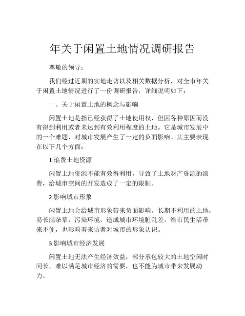 年关于闲置土地情况调研报告