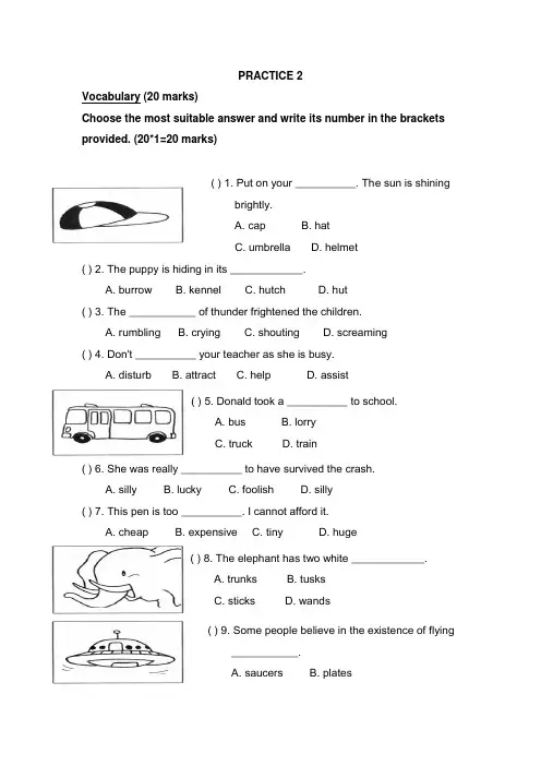新加坡小学二年级英语试卷PRACTICE_2