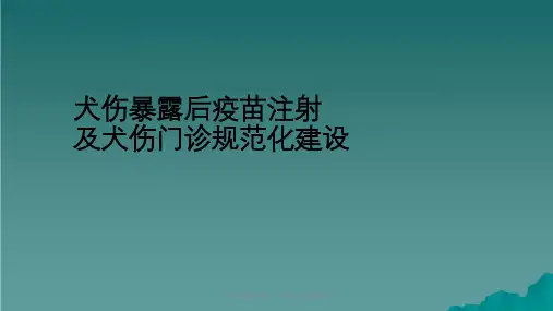 犬伤处置及犬伤门诊规范化建设(讲)课件