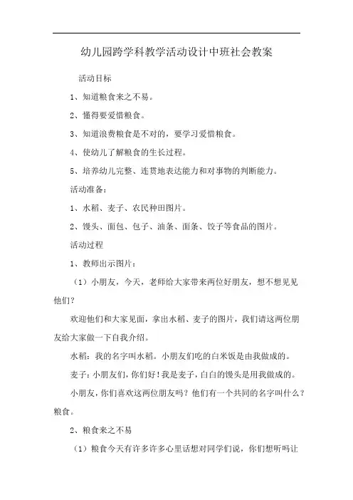 幼儿园跨学科教学活动设计中班社会教案
