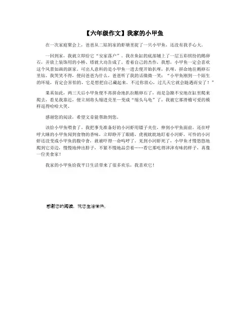 【六年级作文】我家的小甲鱼