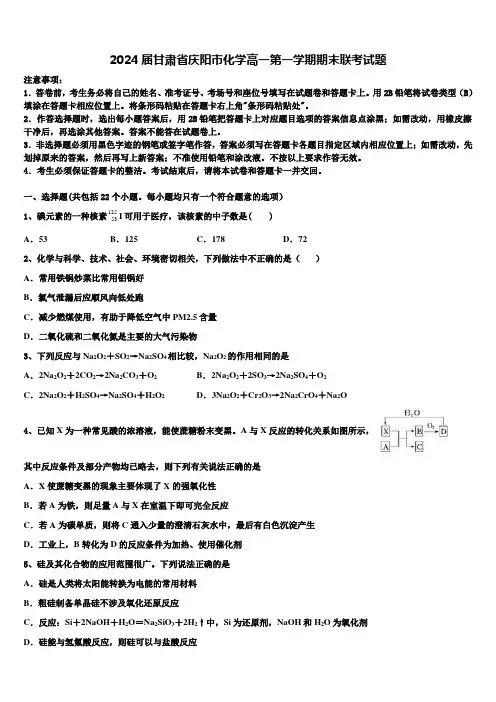 2024届甘肃省庆阳市化学高一第一学期期末联考试题含解析
