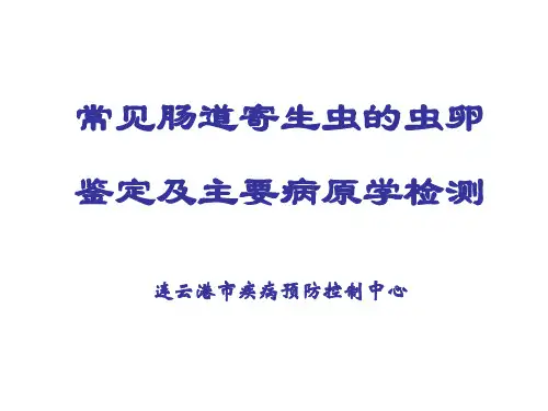 常见肠道寄生虫的虫卵鉴定及主要病原学检测--2018.6.5