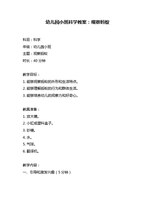 幼儿园小班科学教案：观察蚂蚁
