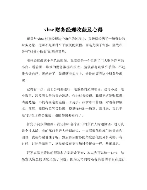 vbse财务经理收获及心得