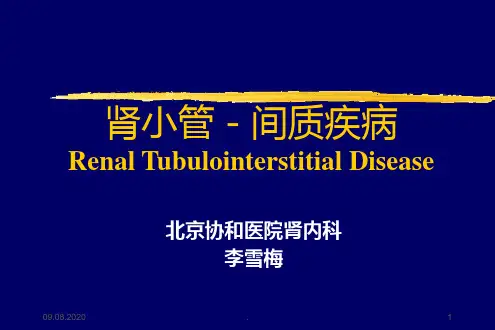 肾小管间质疾病PPT课件