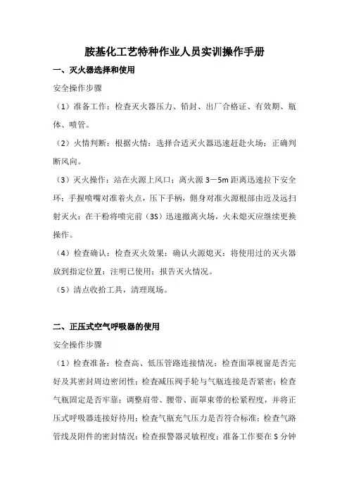 胺基化工艺实训操作手册