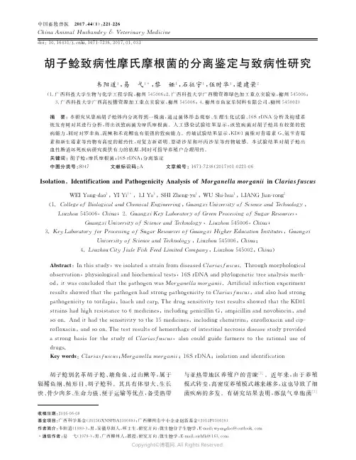 13455097_胡子鲶致病性摩氏摩根菌的分离鉴定与致病性研究