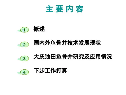 鱼骨井调研1