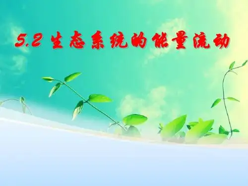 人教版高中生物必修3-稳态与环境：第二节 生态系统的能量流动 课件
