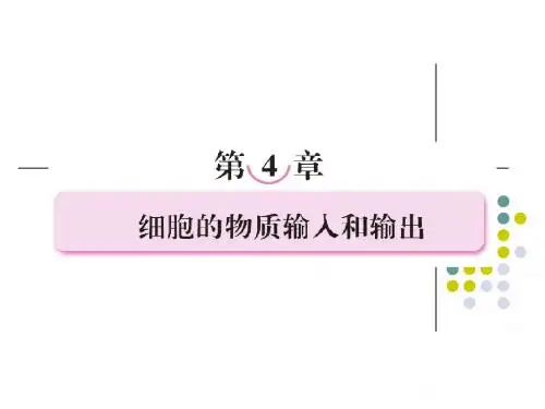 必修一第四章  细胞的物质输入和输出