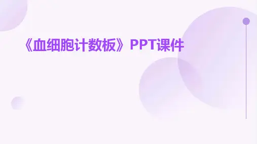 《血细胞计数板》课件