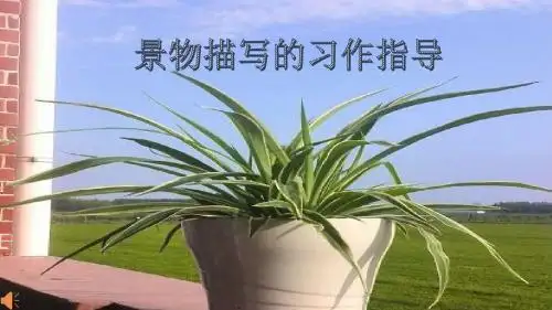 人教版小学语文四年级上册《语文园地一 习作》公开课PPT课件_2