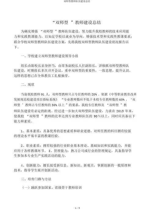 双师型教师队伍建设总结
