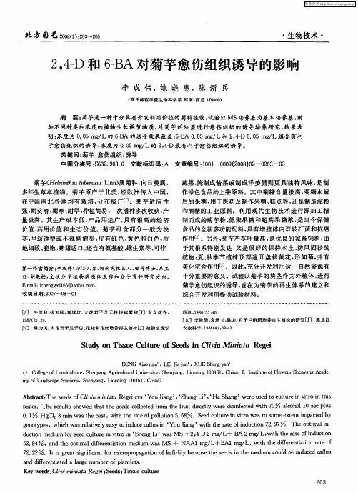 2,4-D和6-BA对菊芋愈伤组织诱导的影响