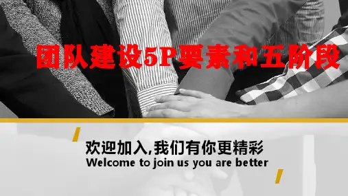 团队建设5p和5个阶段