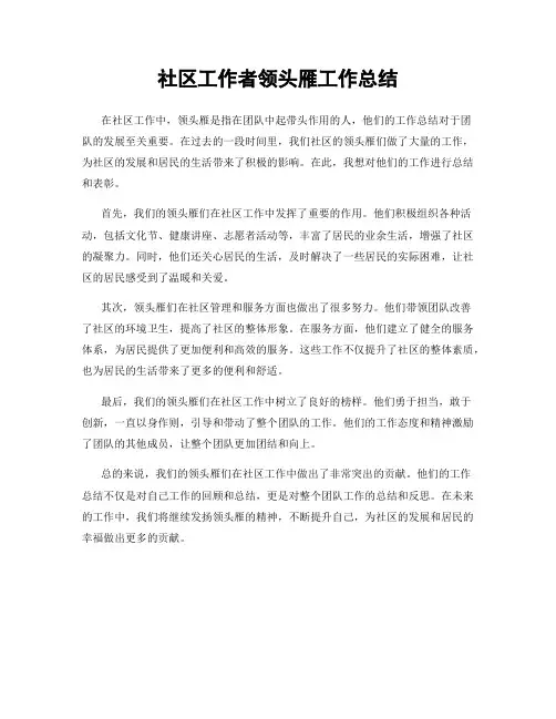 社区工作者领头雁工作总结