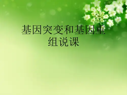 基因突变和基因重组说课优秀课件