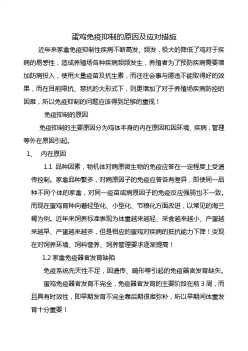 详解蛋鸡免疫抑制及应对措施