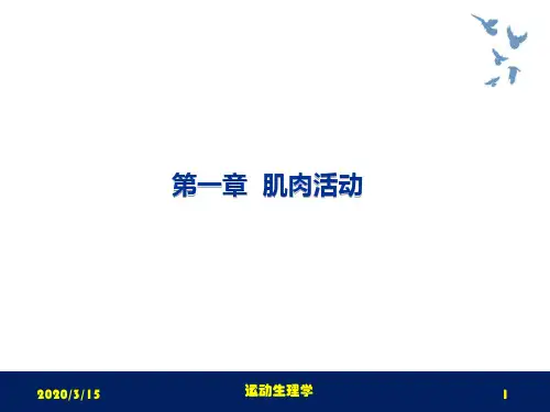 运动生理学课件第一章肌肉活动